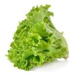 Organic Lettuce