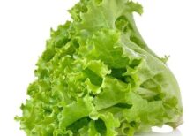 Organic Lettuce