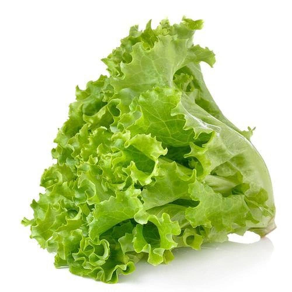 Organic Lettuce