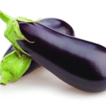 Brinjal