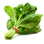 Organic Spinach Premium Packaged