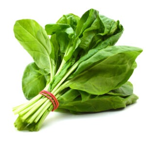 Organic Spinach Premium Packaged