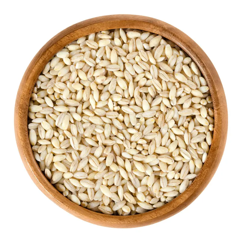 Barley
