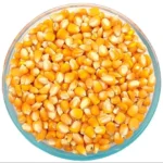 Maize / Corn